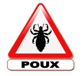 les-poux.jpg