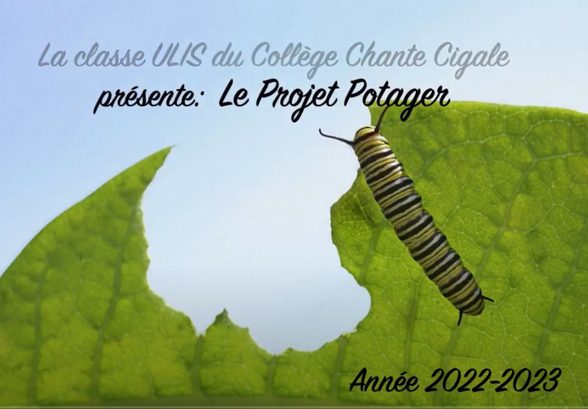 projet_potager.jpg