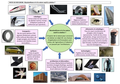 pistesbiomimetisme.jpg
