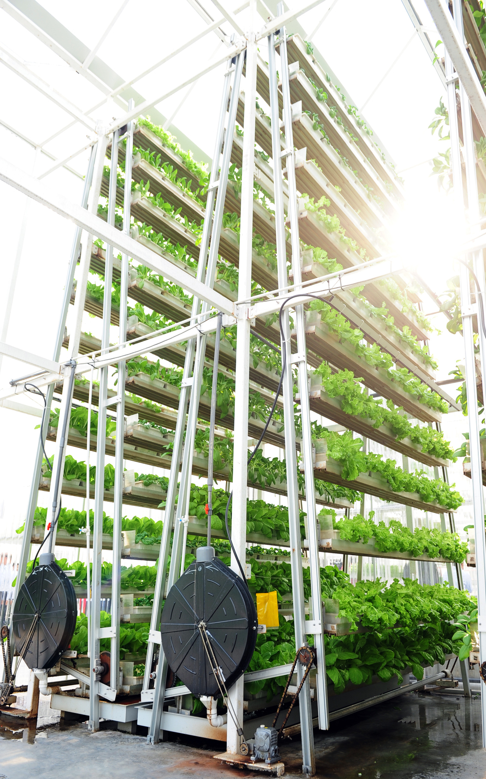 vertical-farm-urban-attitude.jpg