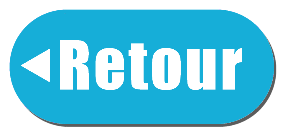 bouton-retour__www_pngimage_net.png