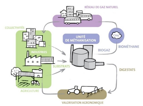 lamethanisationaudeladesesvertus.jpg